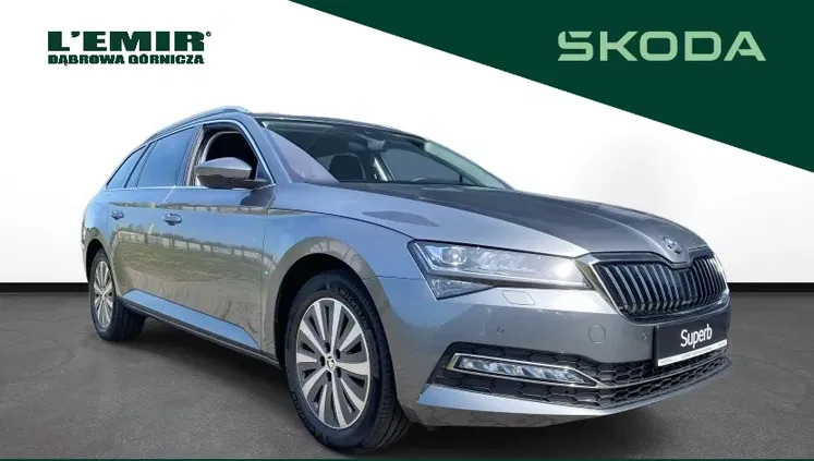 skoda Skoda Superb cena 161308 przebieg: 7, rok produkcji 2024 z Chełm